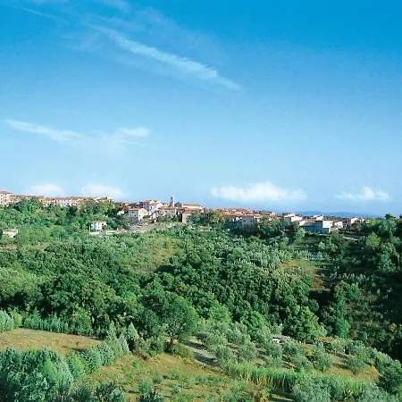 Il Felciaione-27 By Interhome Apartament *